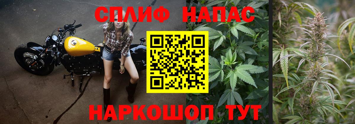 Шишки марихуана конопля  Бошки марихуана ГИДРОПОН  Вход с VPN  Майский 